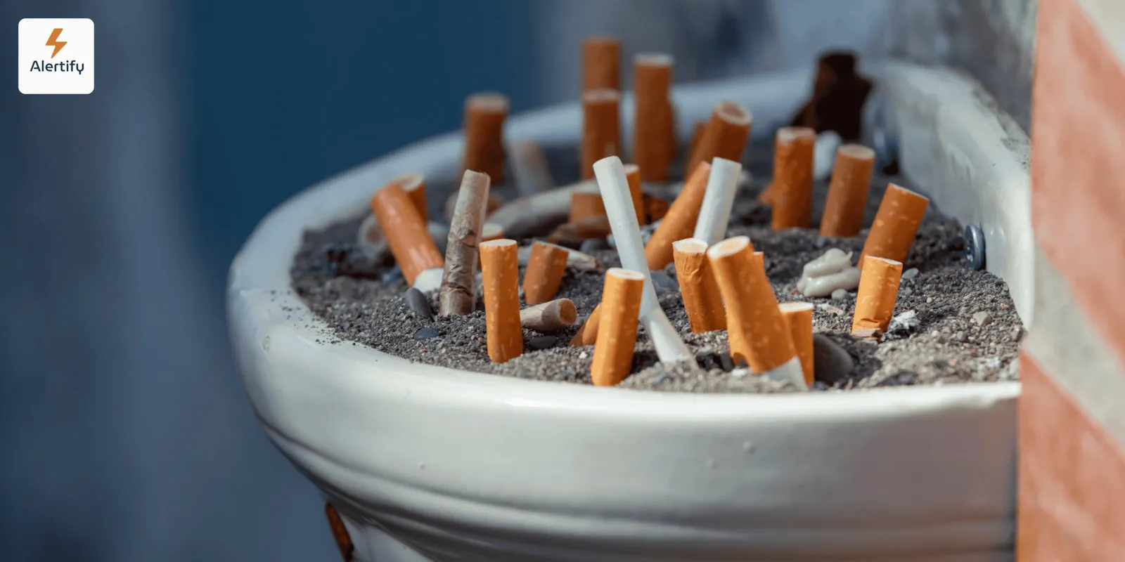 Réglementation du tabac en location de courte durée : droits des hôtes et protections des voyageurs